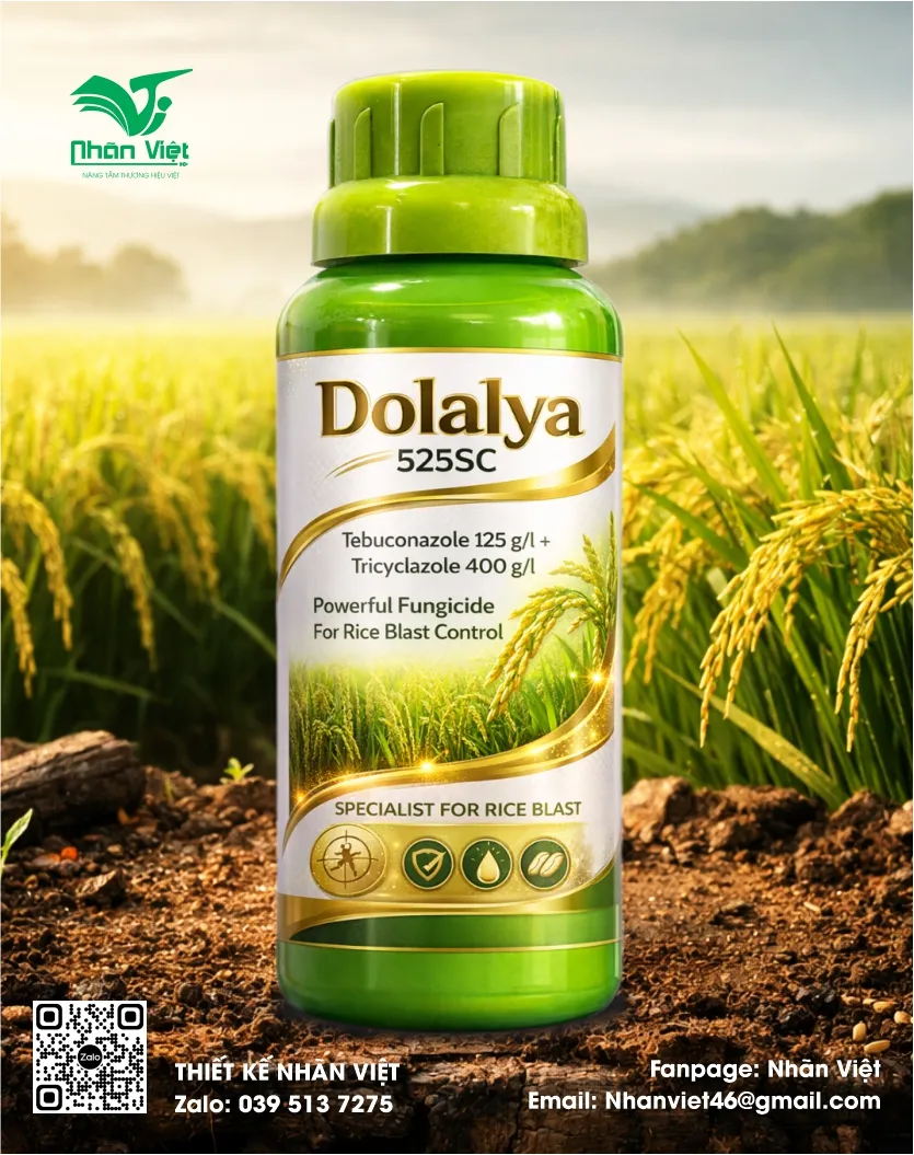 Nhãn mác & Bao bì